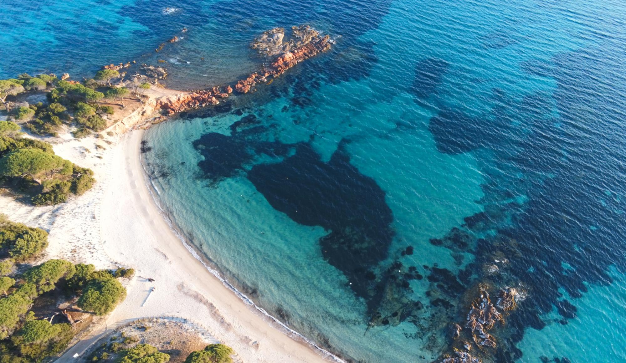 plage palombaggia porto vecchio