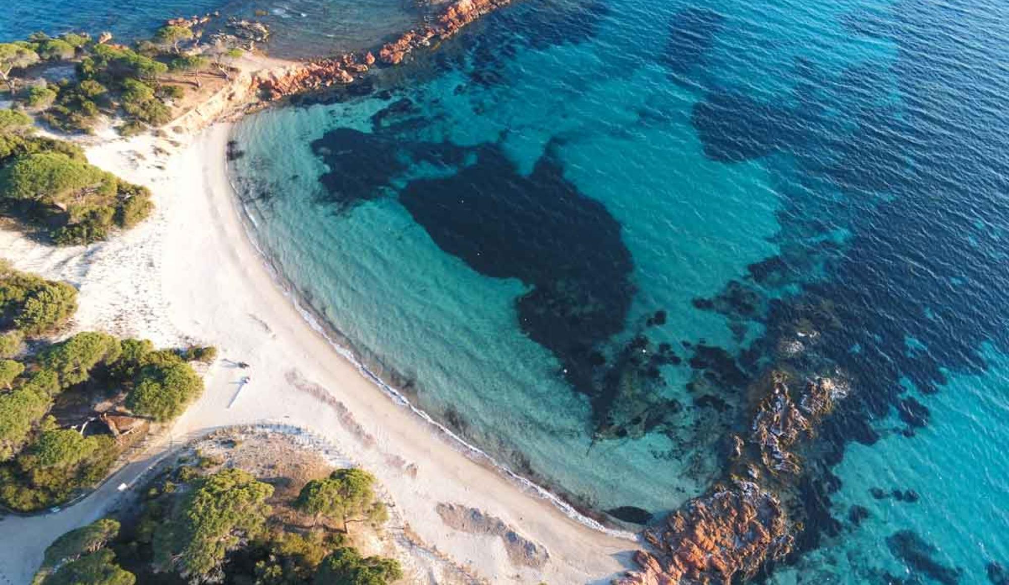 plage palombaggia porto-vecchio