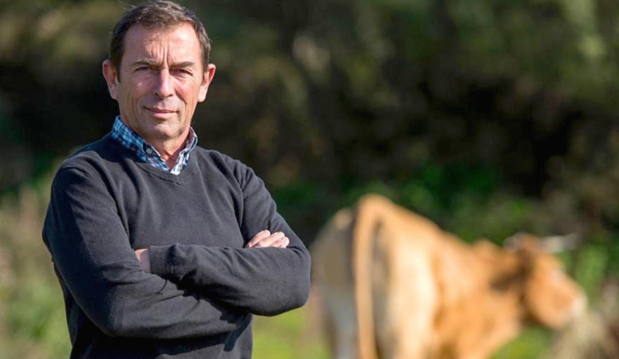 jacques abbatucci éleveur veau tigre