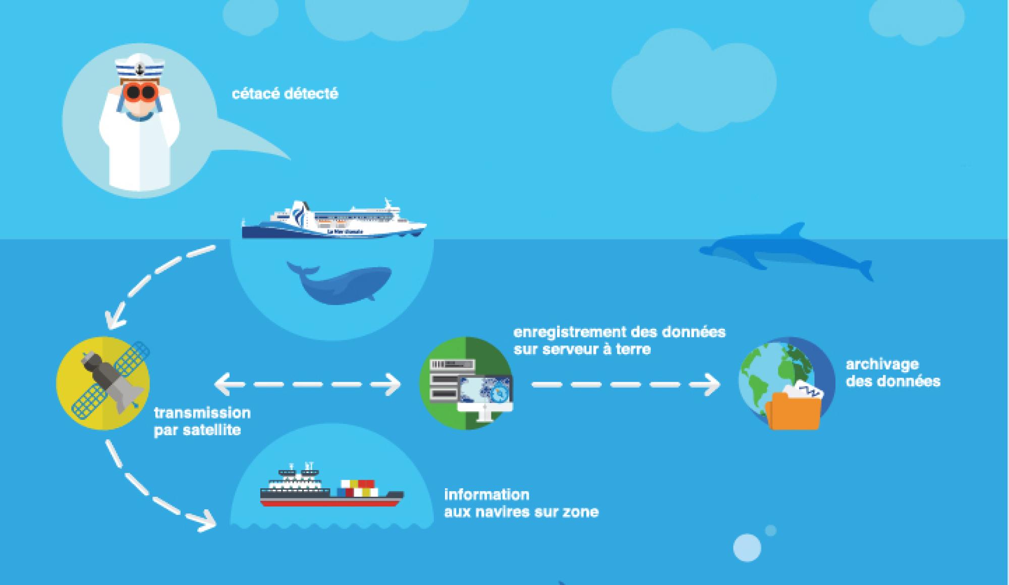 Schéma de fonctionnement de Repcet
