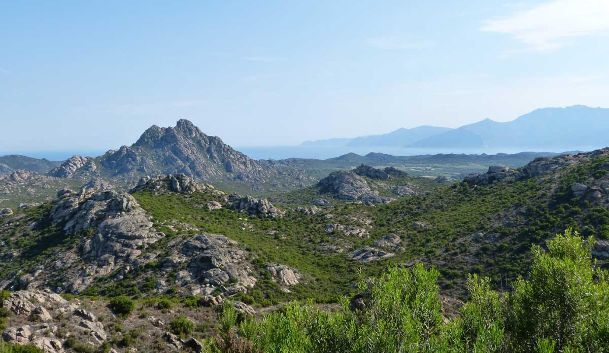 désert des agriates